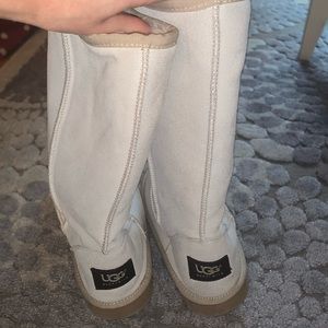 Tall Classic Uggs (5815) New